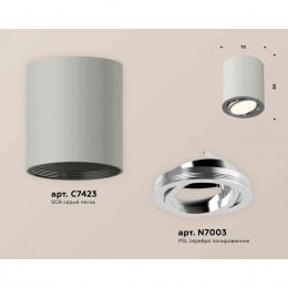 Комплект накладного светильника Ambrella light Techno Spot XS7423021 SGR/PSL серый песок/серебро полированное (C7423, N7003)  купить